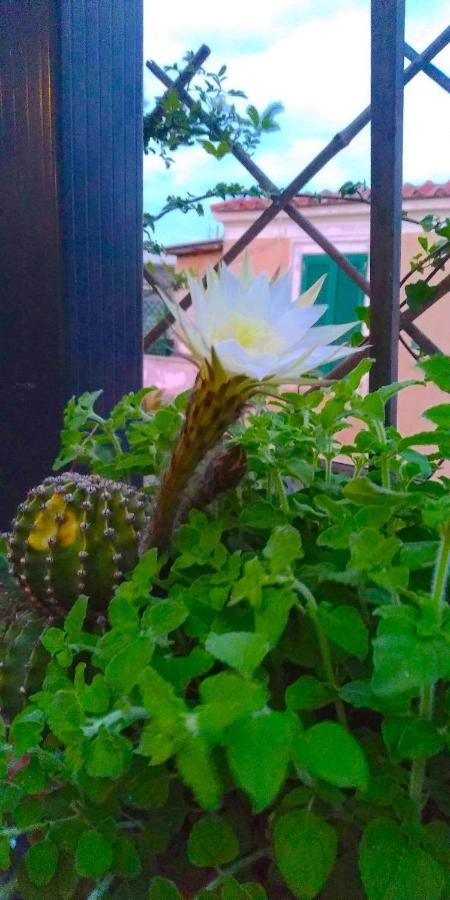 Fiore Apartamento *