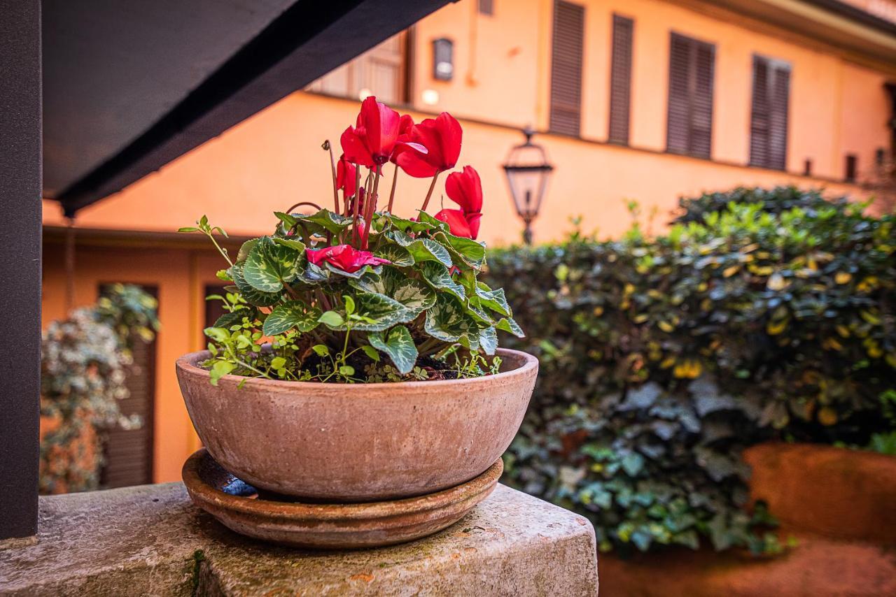 Apartment Cosy In The Greenest Corner Of Trastevere