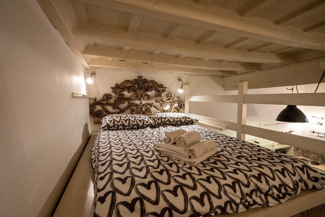 A Due Passi Da S.pietro E Castel Sant'angelo Loft Gianicolo *