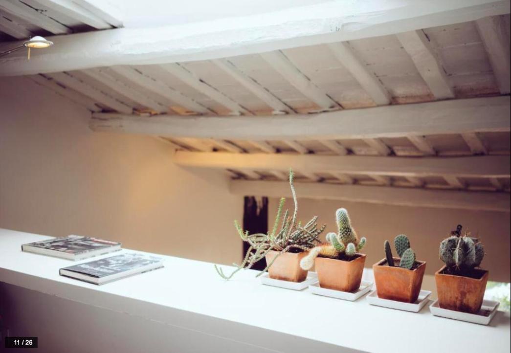 Luxury Art In Trastevere With Terrace