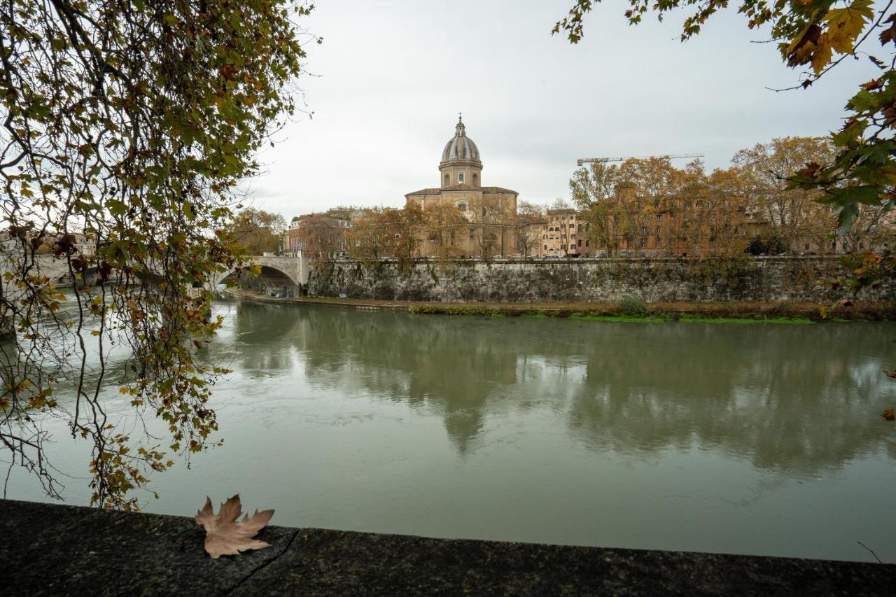 A Due Passi Da S.pietro E Castel Sant'angelo Loft Gianicolo *