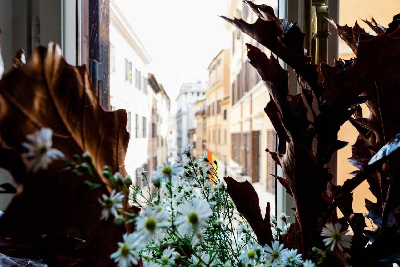 Queenavona Appartamento Roma