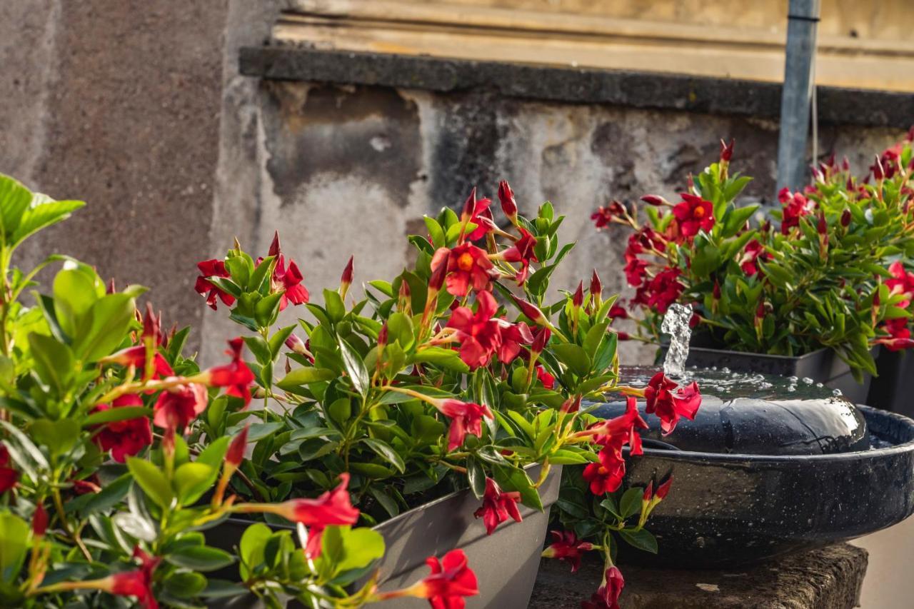 Ag Spanish Steps Terrace Apartment