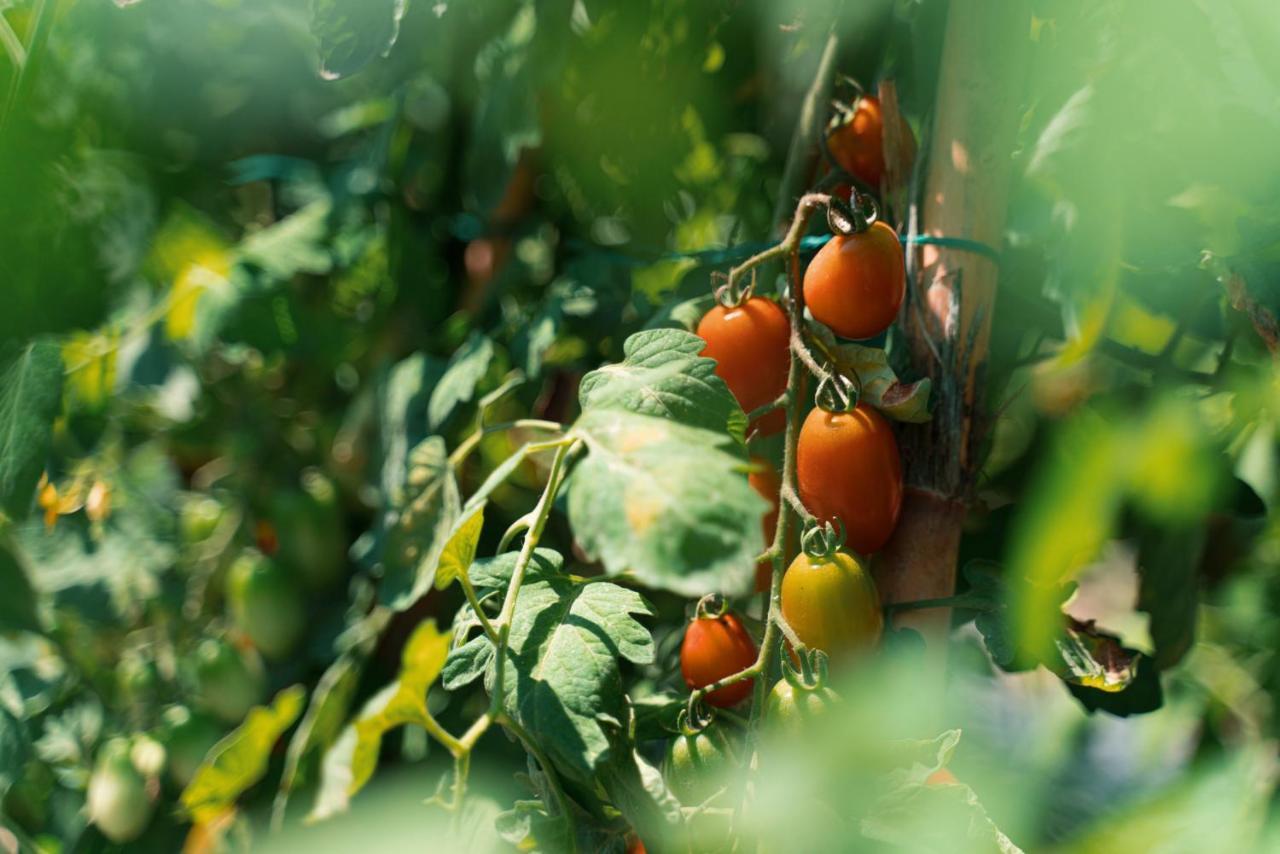 Il Giardino Di Gabri