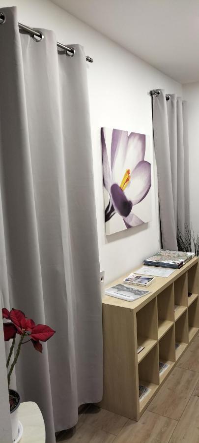 Bed & Breakfast Domus Vatican Holiday's *