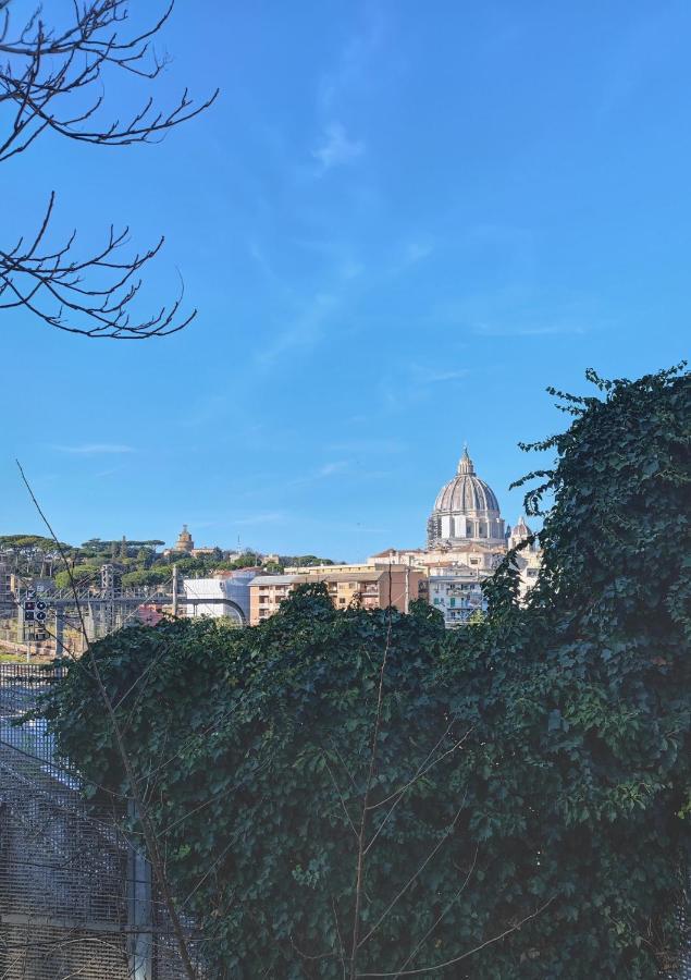 Timeless St Peter Terrace Apartment Rome