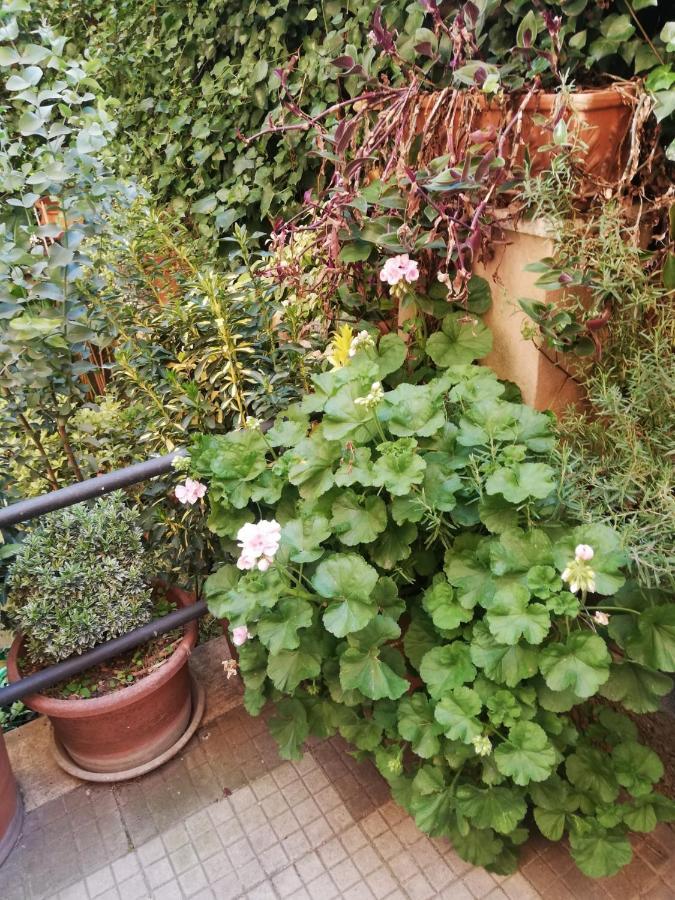 Tra Gianicolo E Trastevere Bed & Breakfast Rome