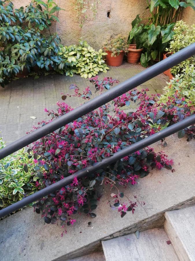 Tra Gianicolo E Trastevere *