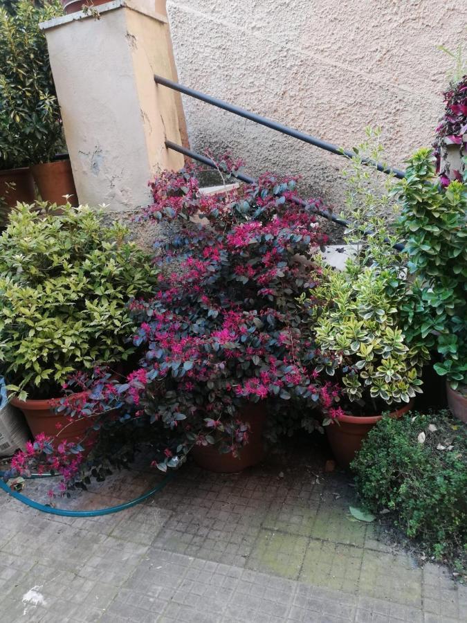 Bed & Breakfast Tra Gianicolo E Trastevere