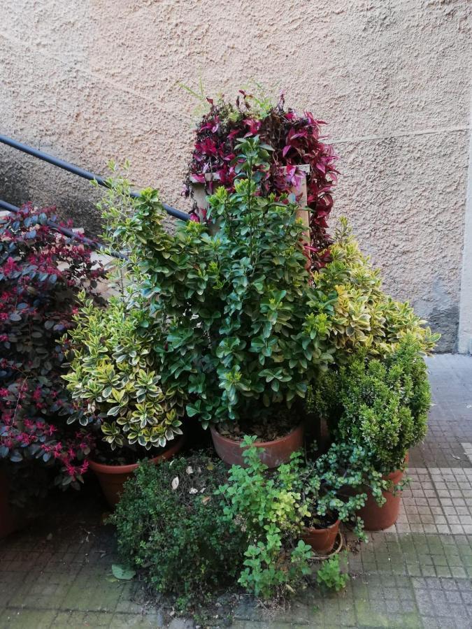 Tra Gianicolo E Trastevere *
