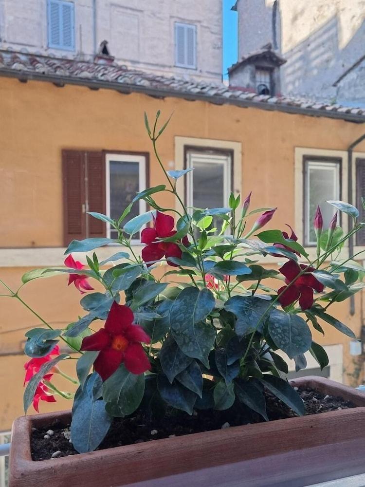 Affittacamere Town House Spagna 2*