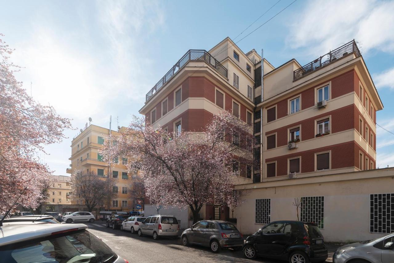 Mm Cipro Flat * Rome