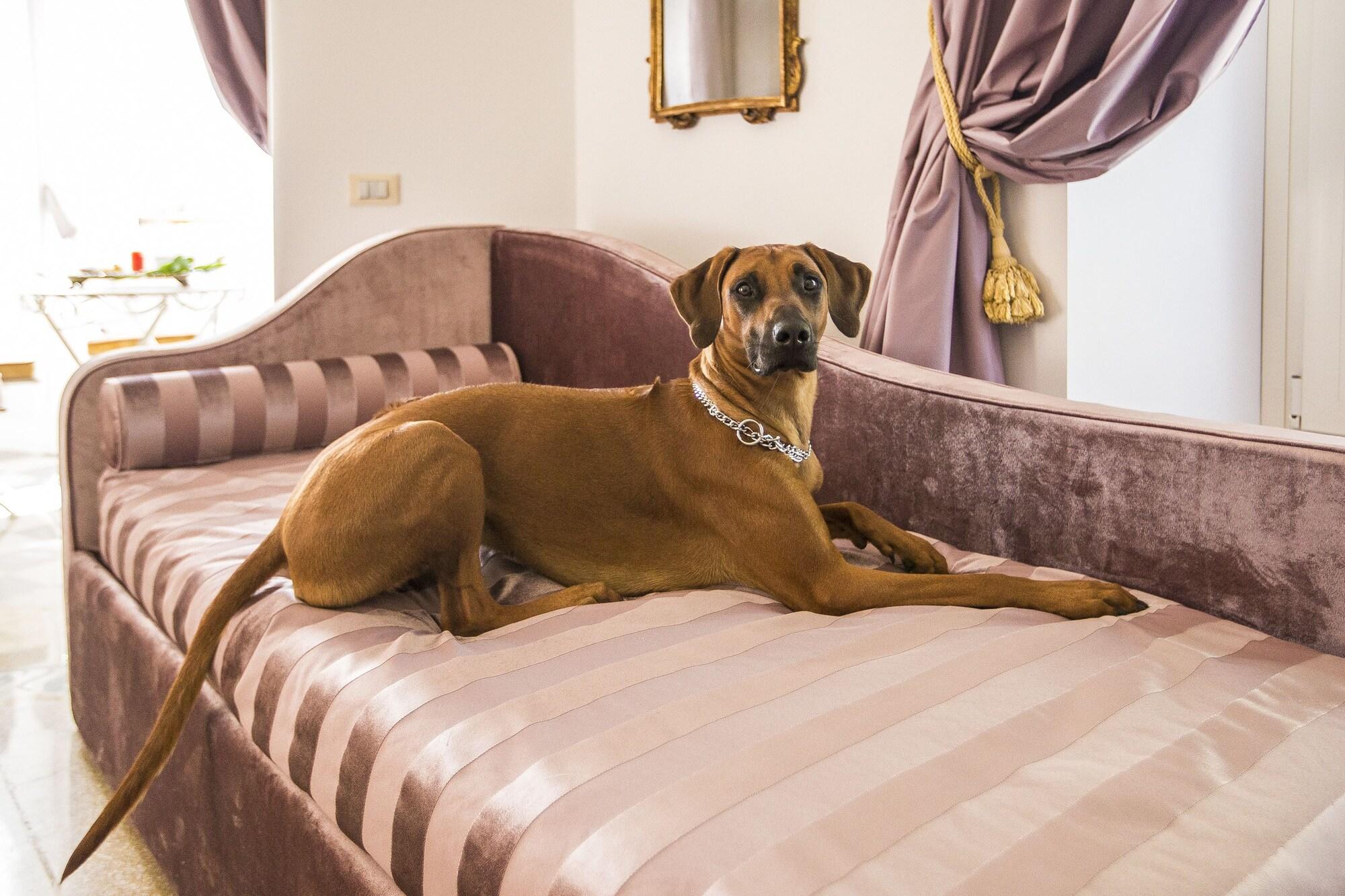 Trastevere Royal Guest house Rome