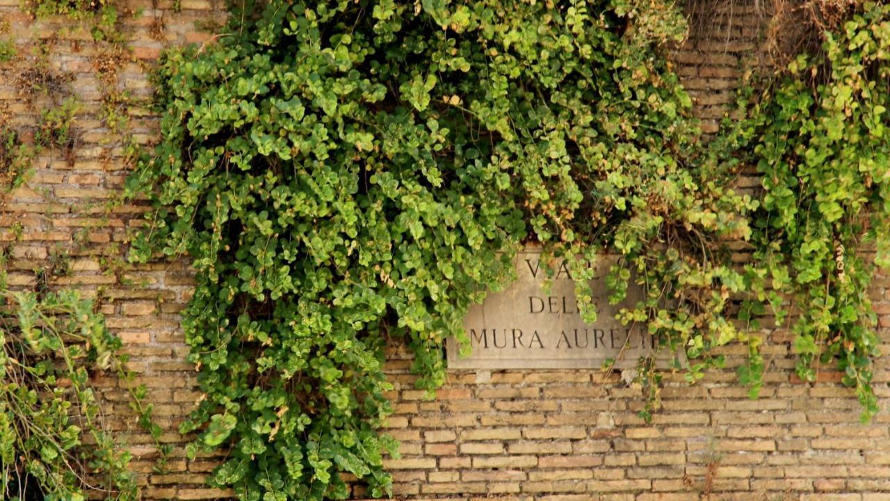 Vista San Pietro Apartment Rome