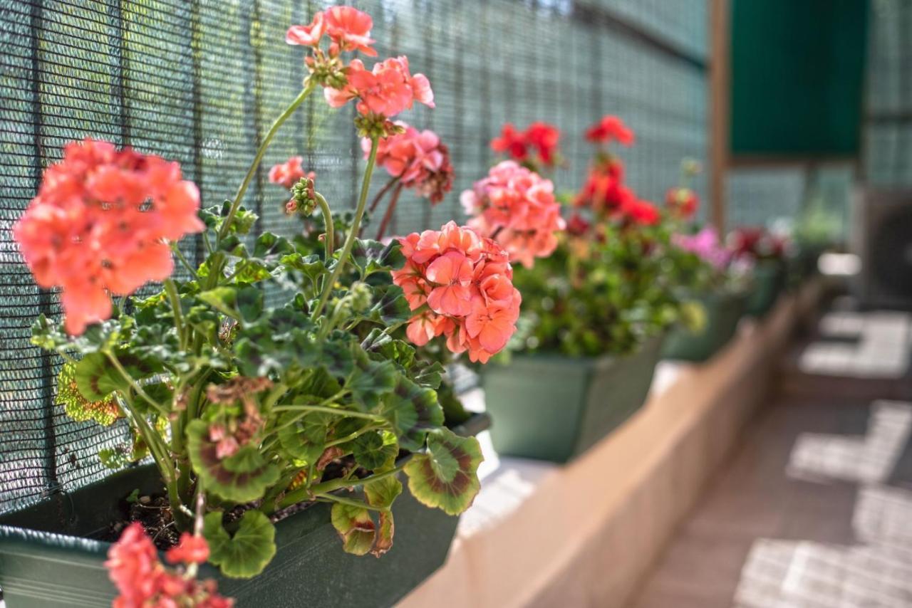 Appartamento Garden House Vale Roma