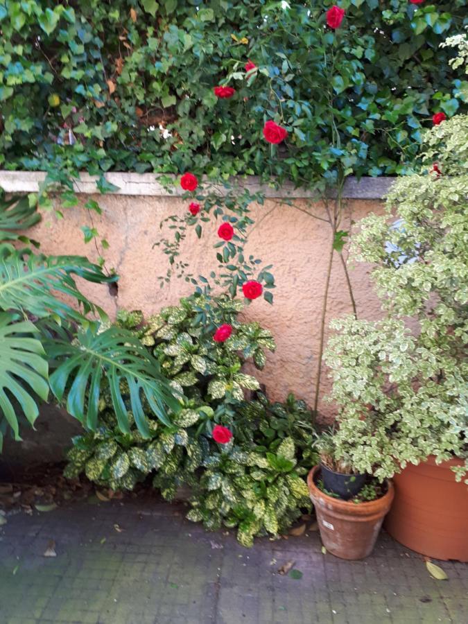 Tra Gianicolo E Trastevere Bed & Breakfast *