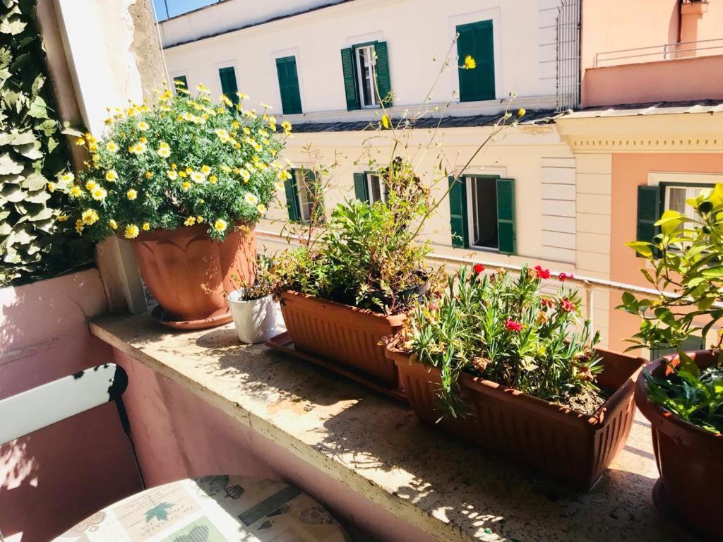 Green Guesthouse Maison d'hôtes *