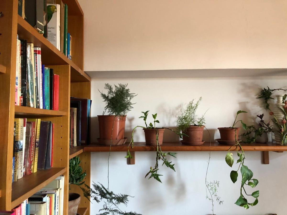Lizartgarden Panoramic Homestay
