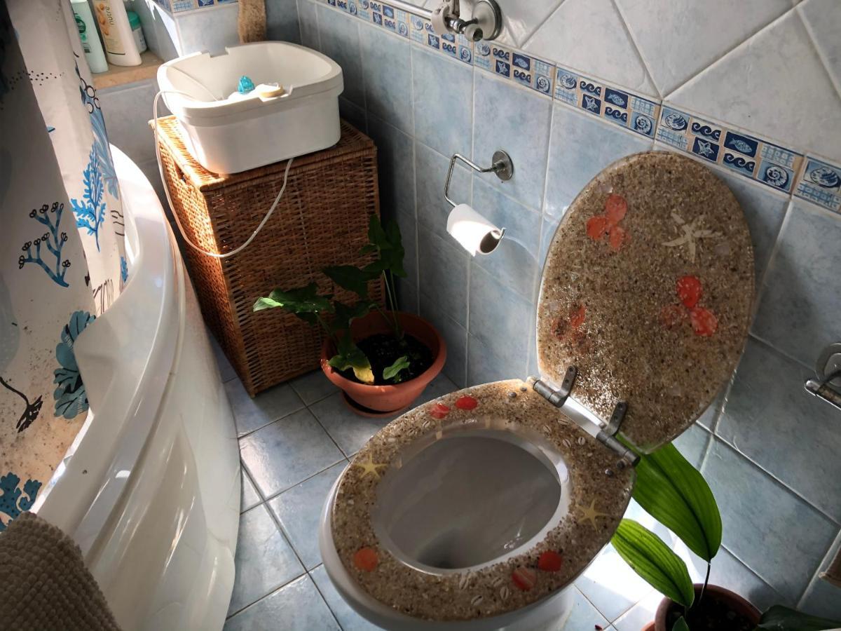 Lizartgarden Panoramic Homestay