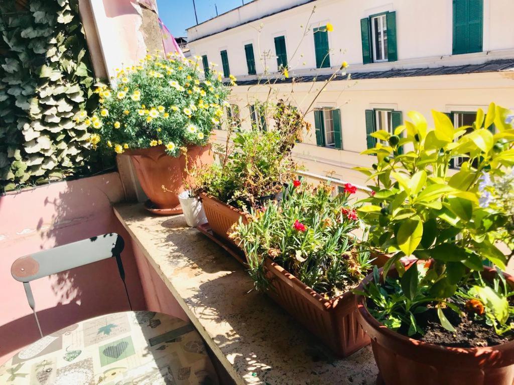 Green Guesthouse Rome