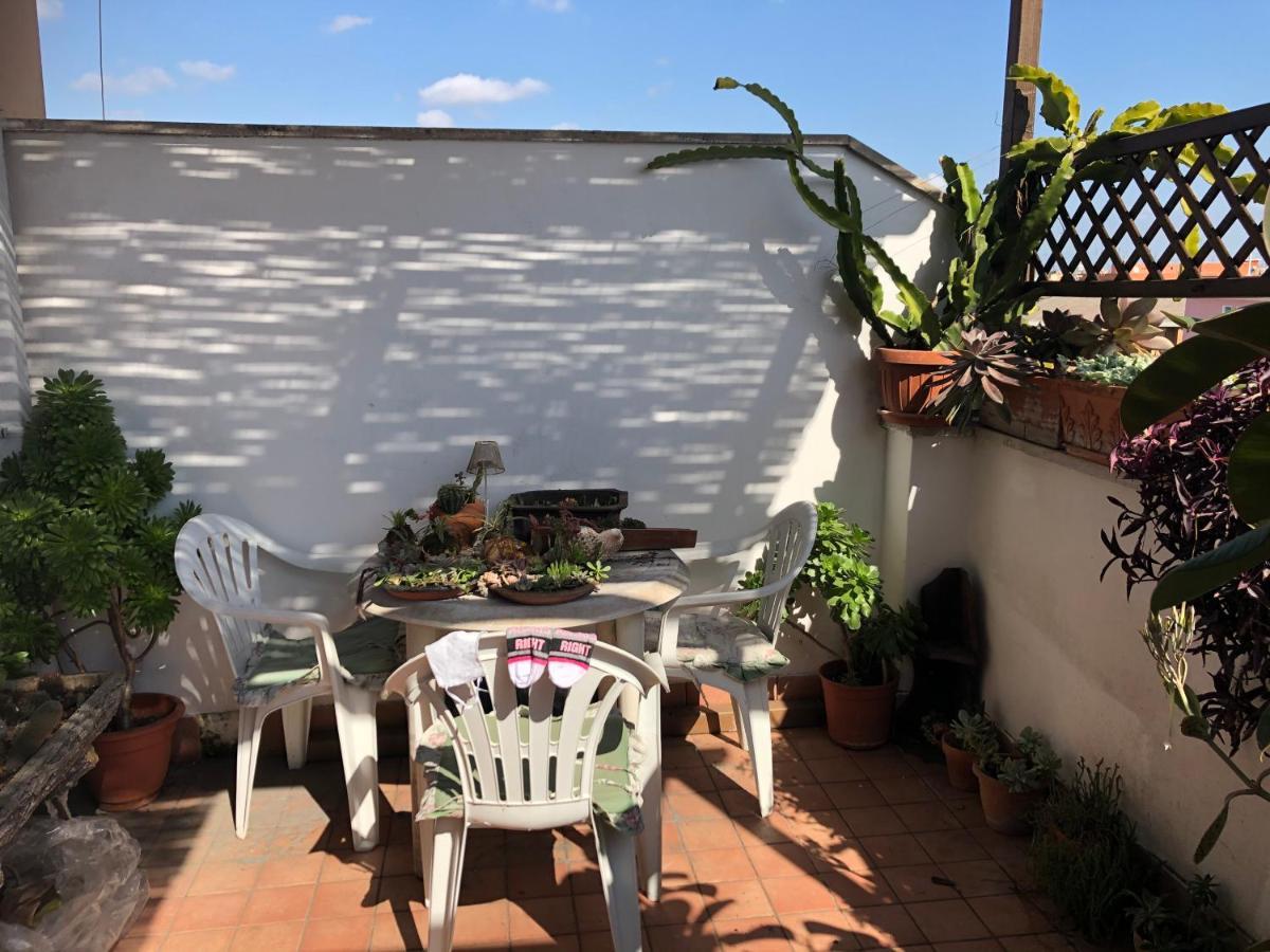 Lizartgarden Panoramic