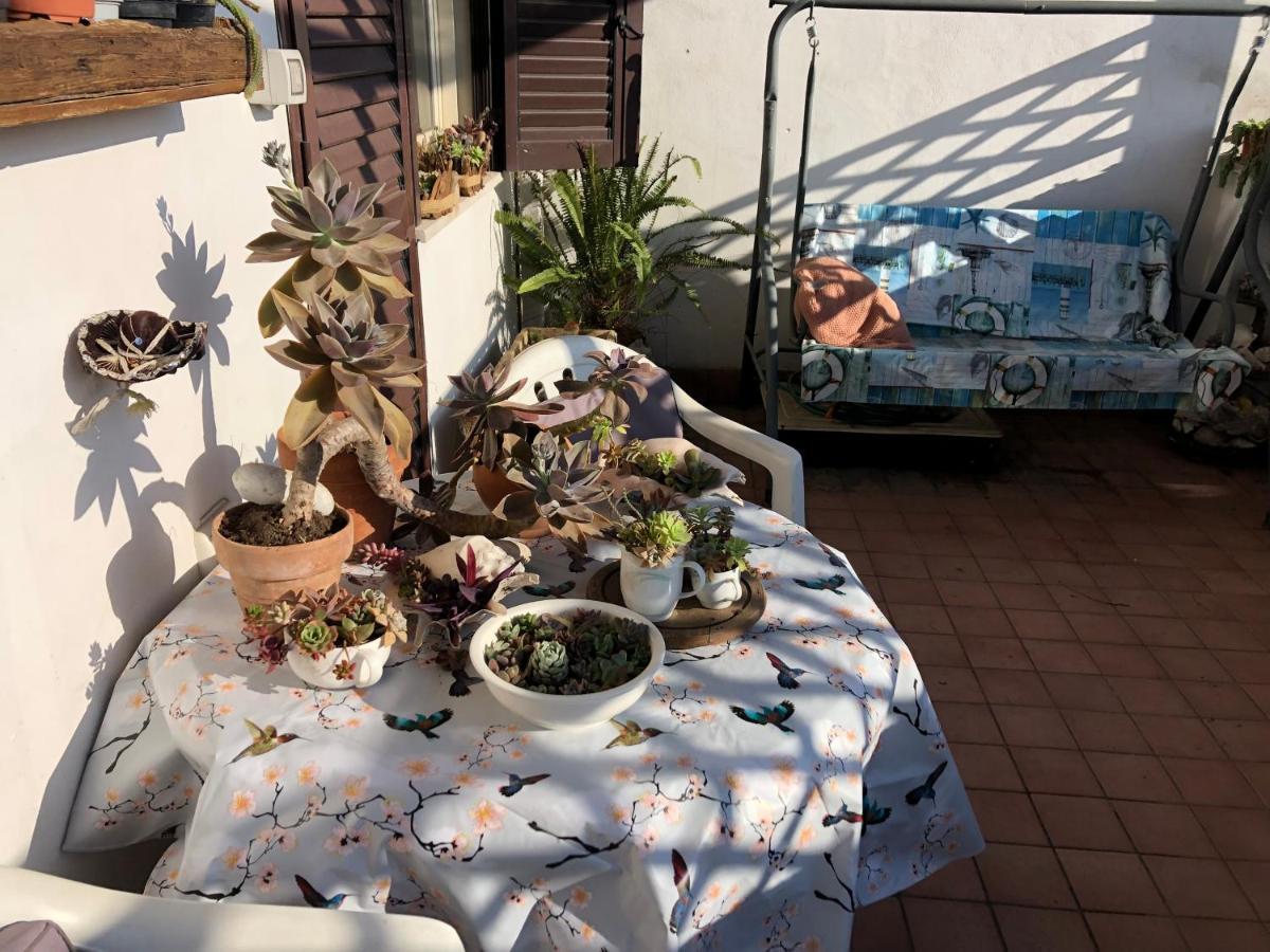 Homestay Lizartgarden Panoramic