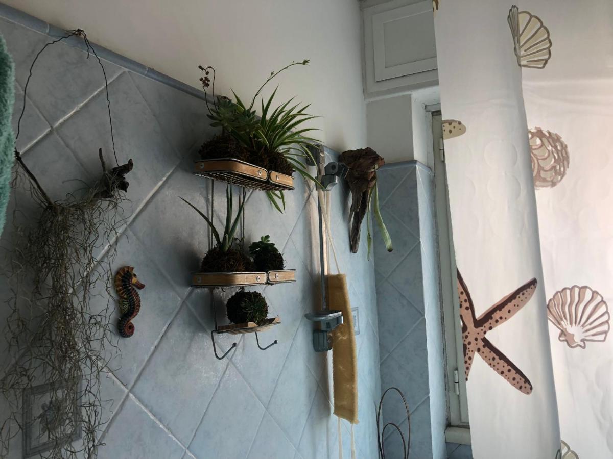 Homestay Lizartgarden Panoramic *