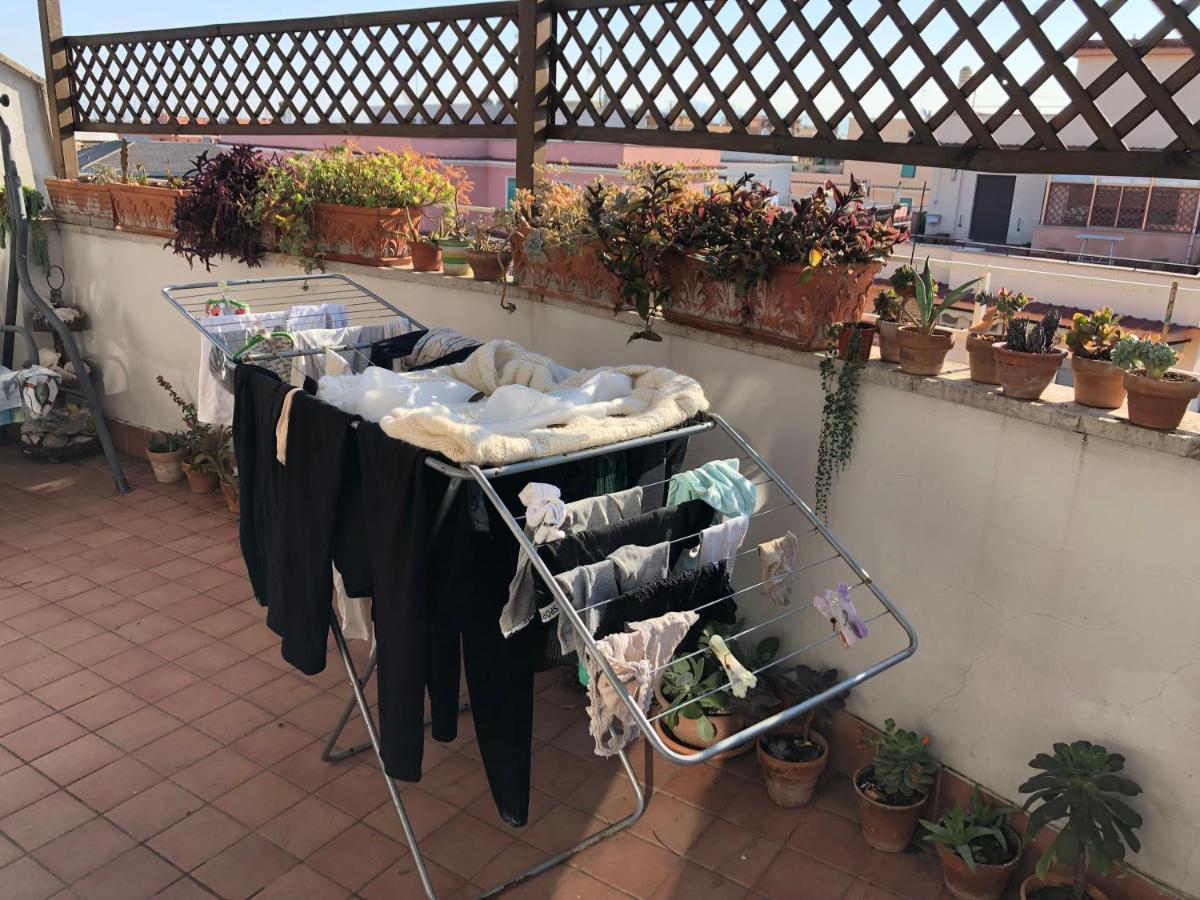 Homestay Lizartgarden Panoramic *