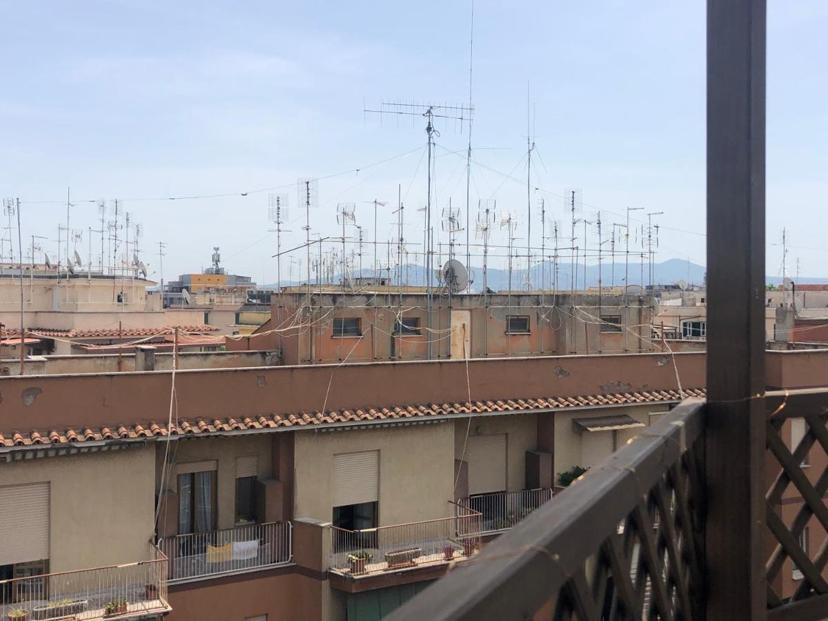 Lizartgarden Panoramic Rome