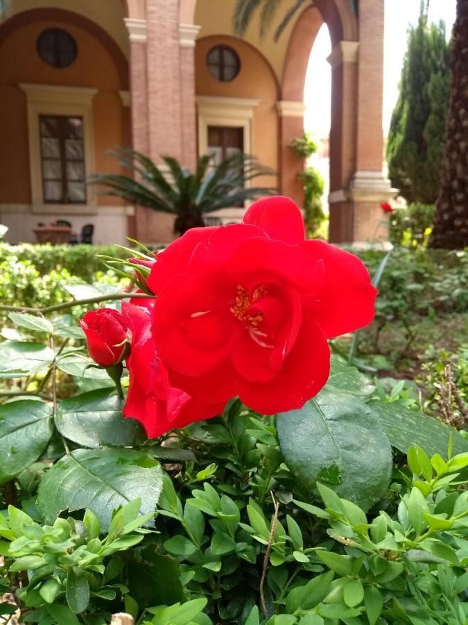 Casa S. Giuseppe Di Cluny Rome