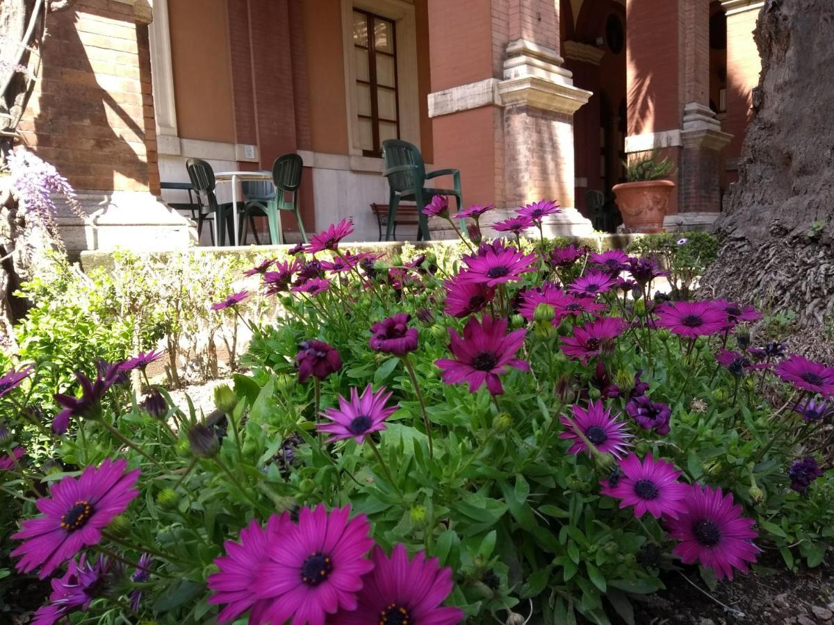 Casa S. Giuseppe Di Cluny Bed & Breakfast