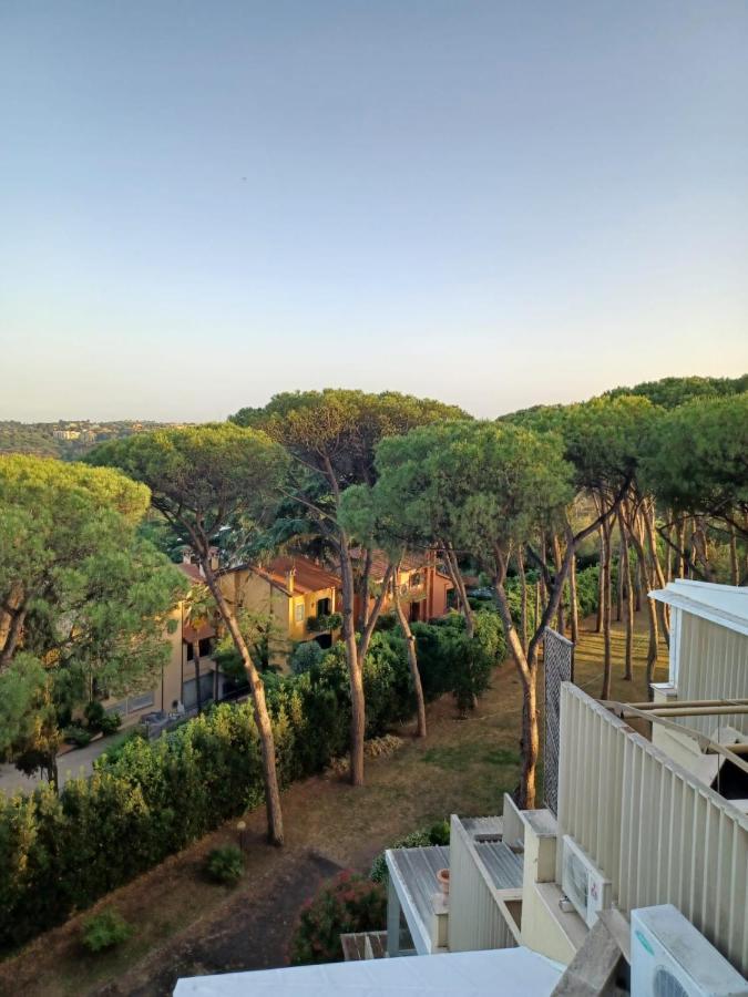 Nerone Ai Pini Rome
