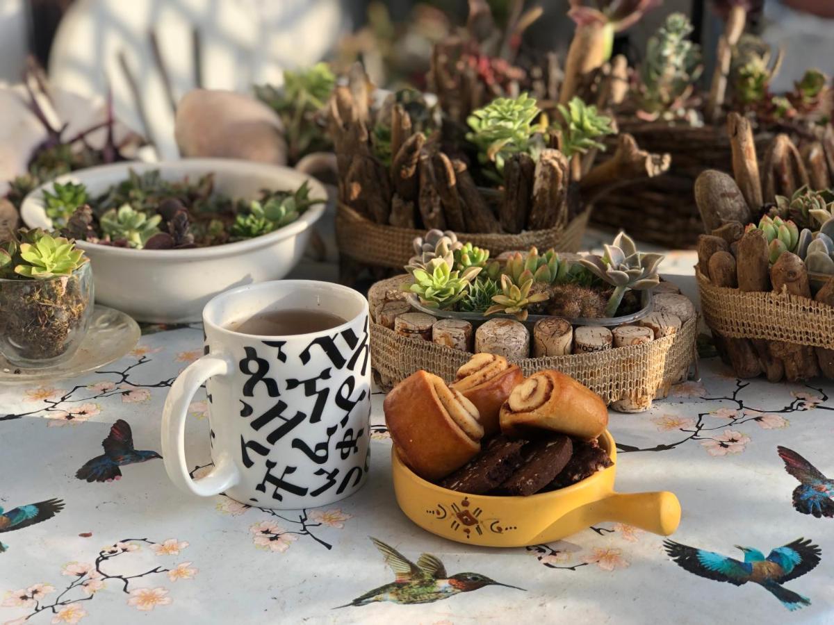 Lizartgarden Panoramic *