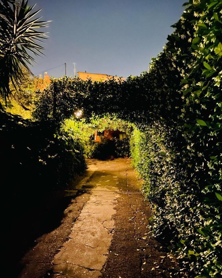 Cosy In The Greenest Corner Of Trastevere Apartment Rome