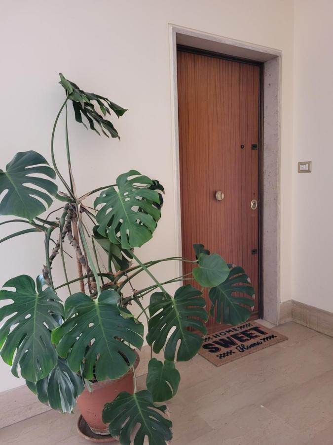Boutique Maison - Pentimalli 84