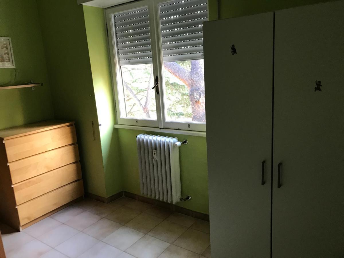 La Casa Di Lobina E Dei Suoi Amici Roma