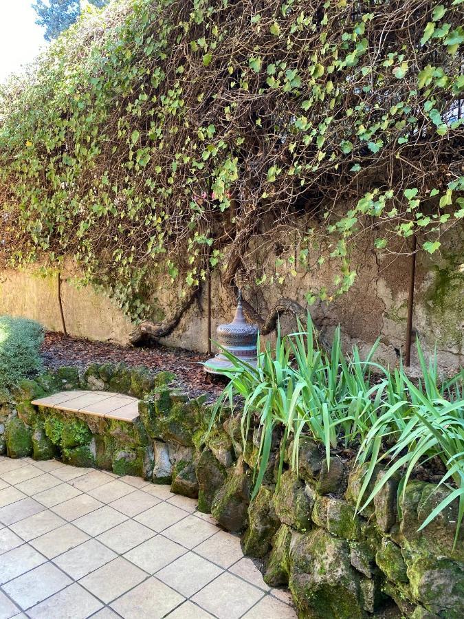 Trastevere Oasi Garden - Apartment *