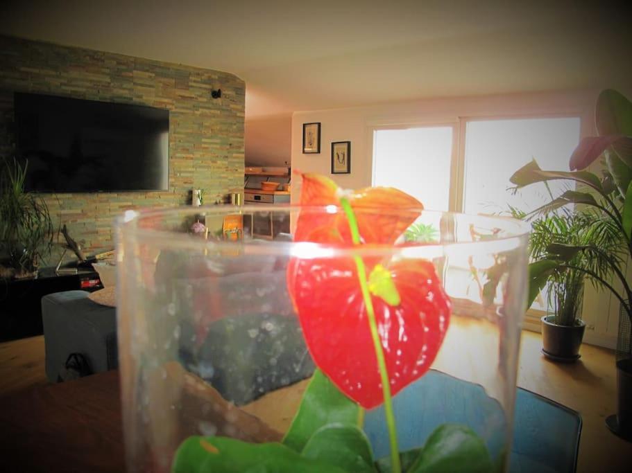 Apartamento Prati Fiscali Penthouse *