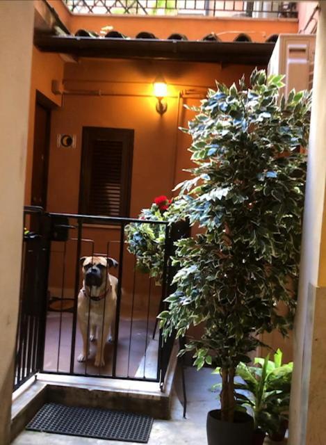 Apartamento Chez Moi - Cinzia Roma