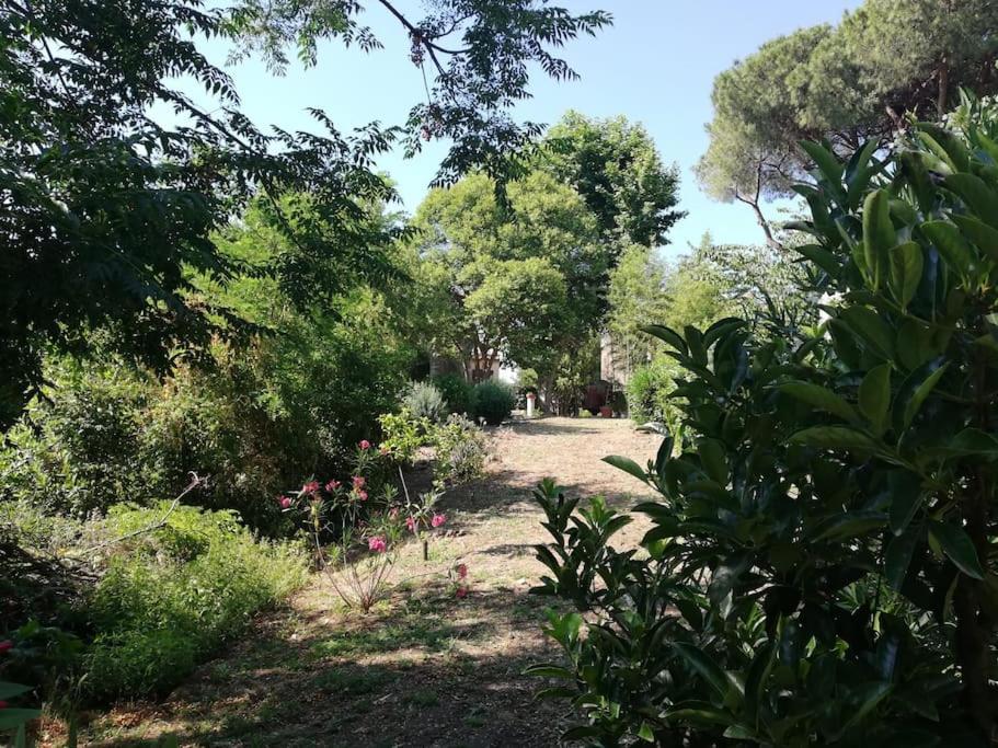 Appartamento Roma, Roma