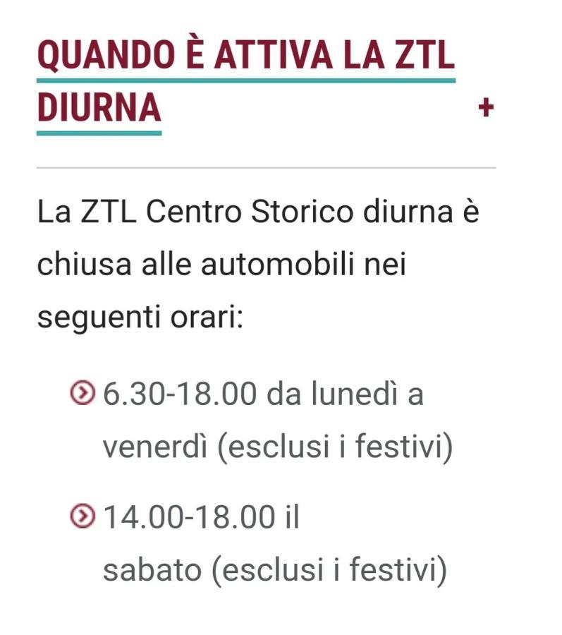 Giulia's Nidus *