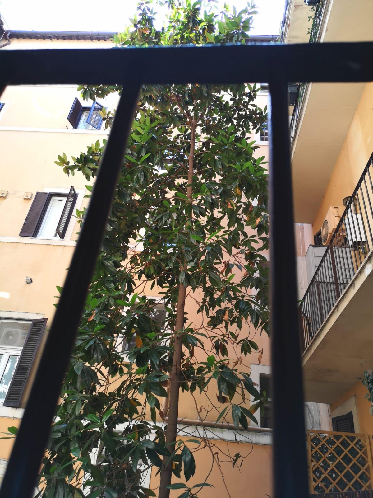 Guest house Dulcis In Pantheon Rome