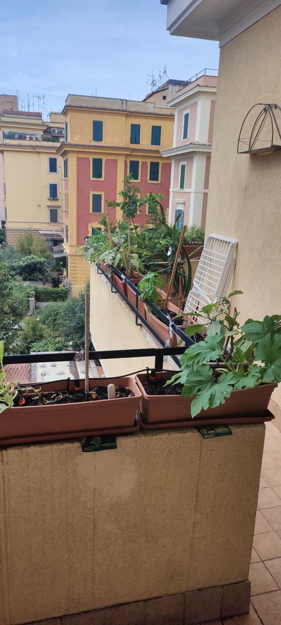 Hospedagem domiciliar Camera Piazza Bologna *