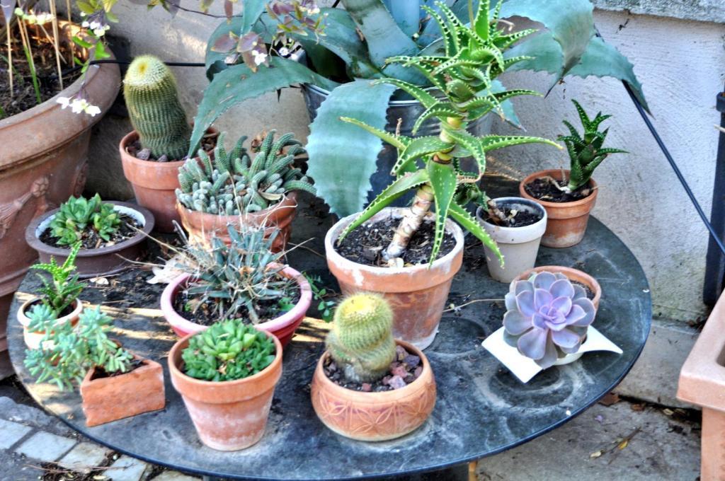 Il Boom Bed & Breakfast Rome