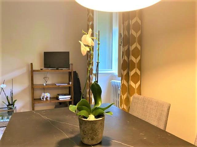 Duchi Di Castro Chic Apartment