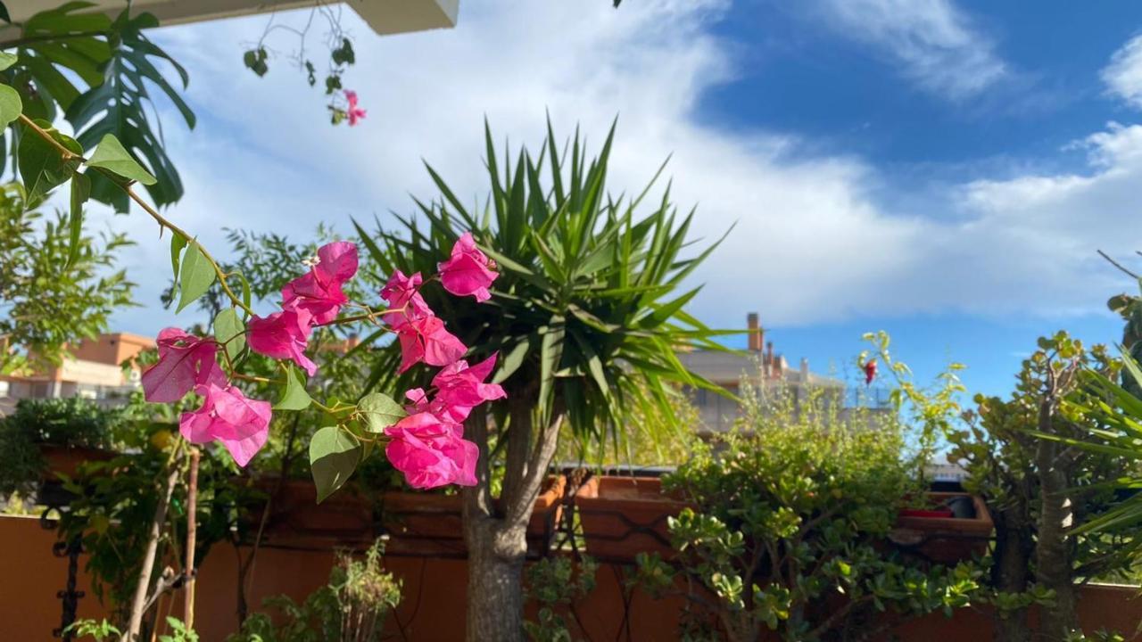 Bed & Breakfast Ospiti Da Sergio