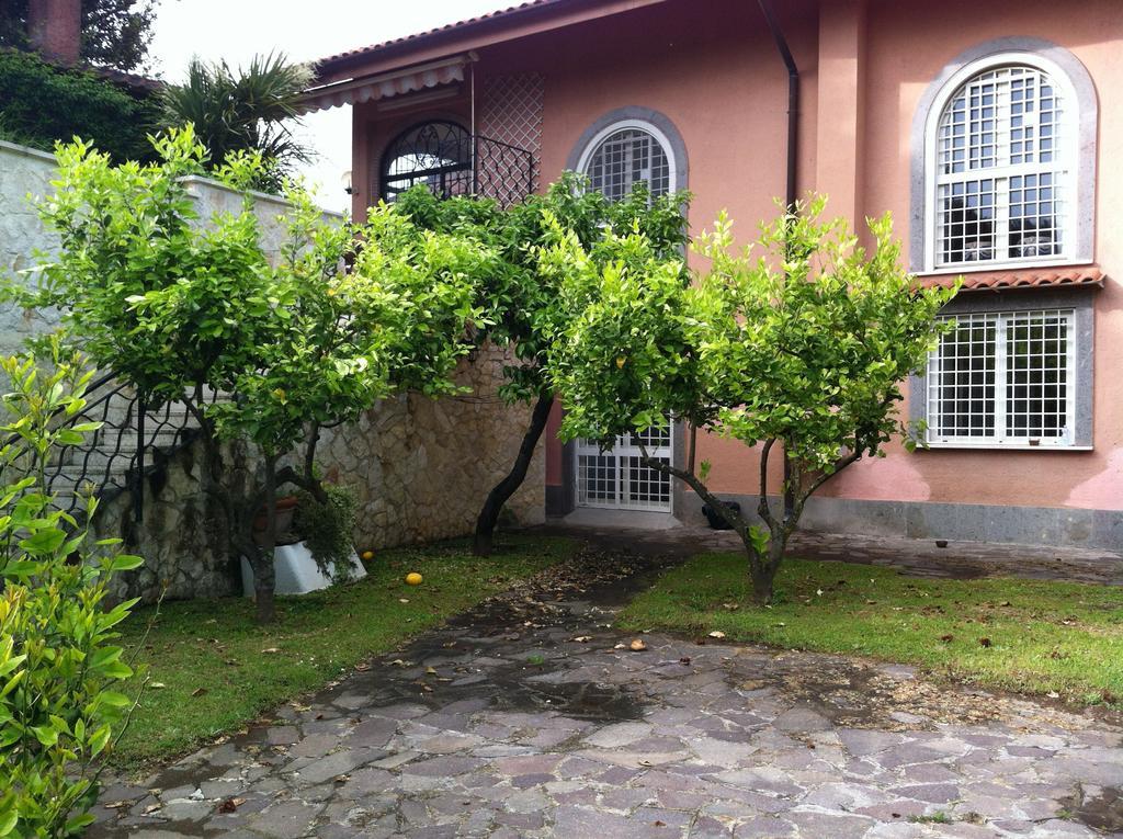 Iolanda Rome