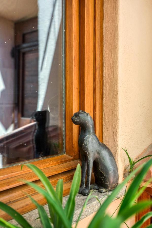 Maggiore 145 With Private Garden - Rione Monti Apartamento *