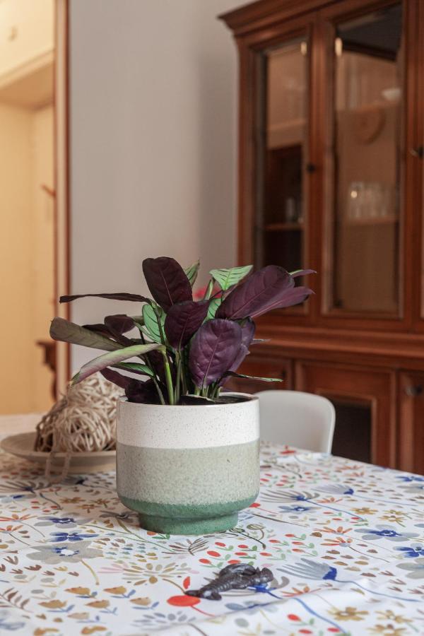Il Melograno House Apartment Rome