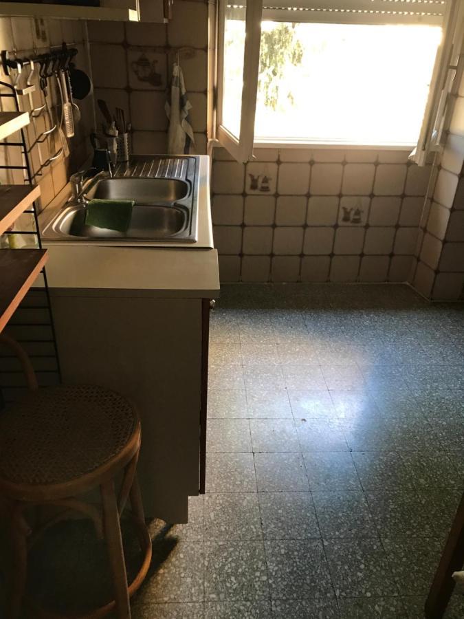 La Casa Di Lobina E Dei Suoi Amici *